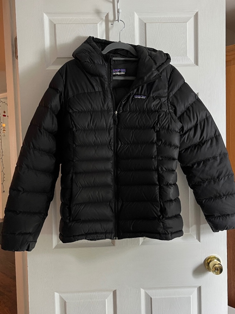 Patagonia Hi-Loft Down Hoody Large